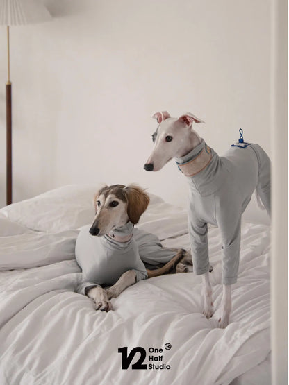 Two whippets in grey four-leg sun suits resting on a bed