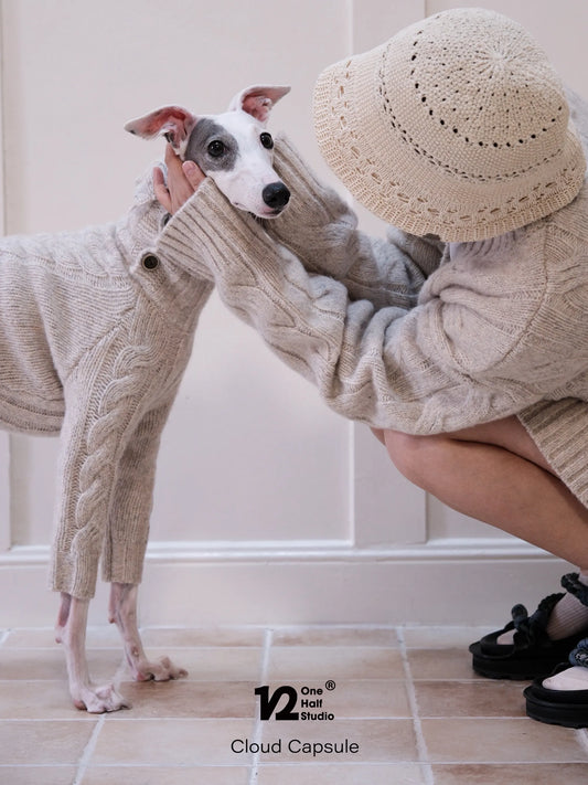 Whippet wearing a cream cable knit cardigan beside a parent