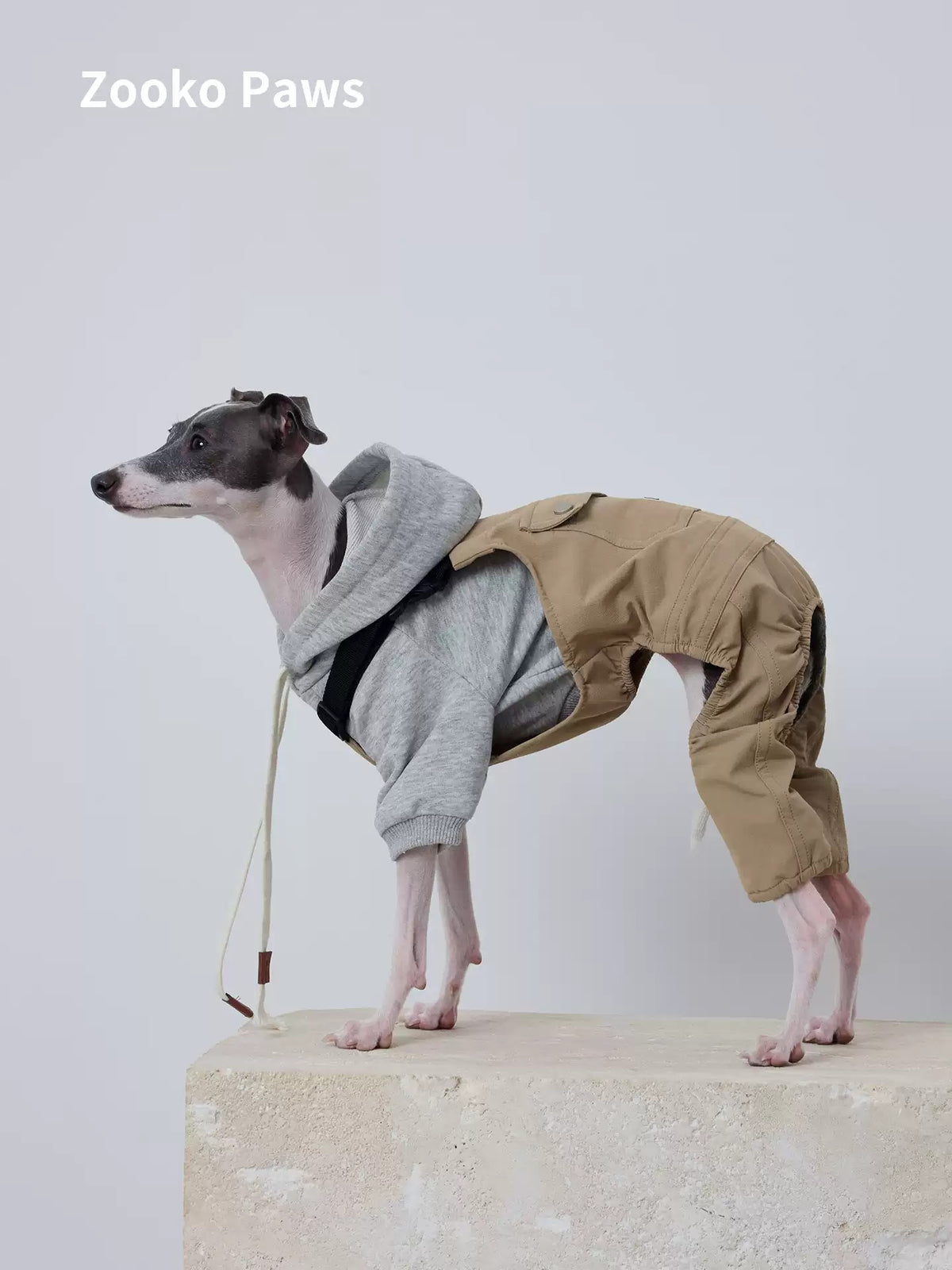 Hooded Dog Sweatshirt photo 1