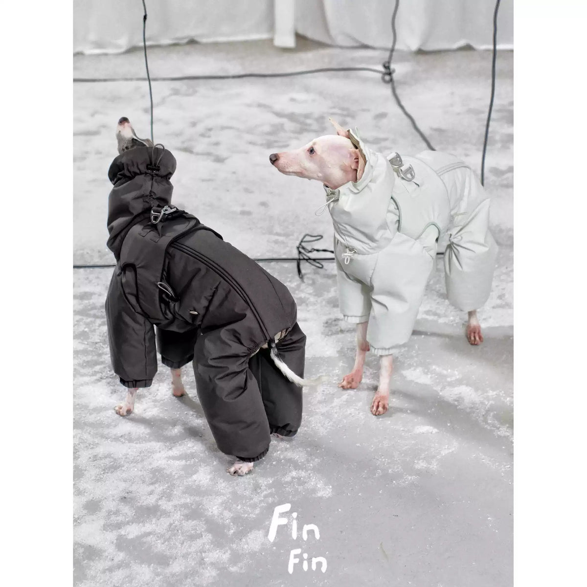 Down Dog Jacket with Built-In Harness photo 1
