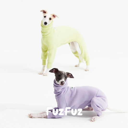 Two sighthounds in the purple and lime four-leg sweatshirts