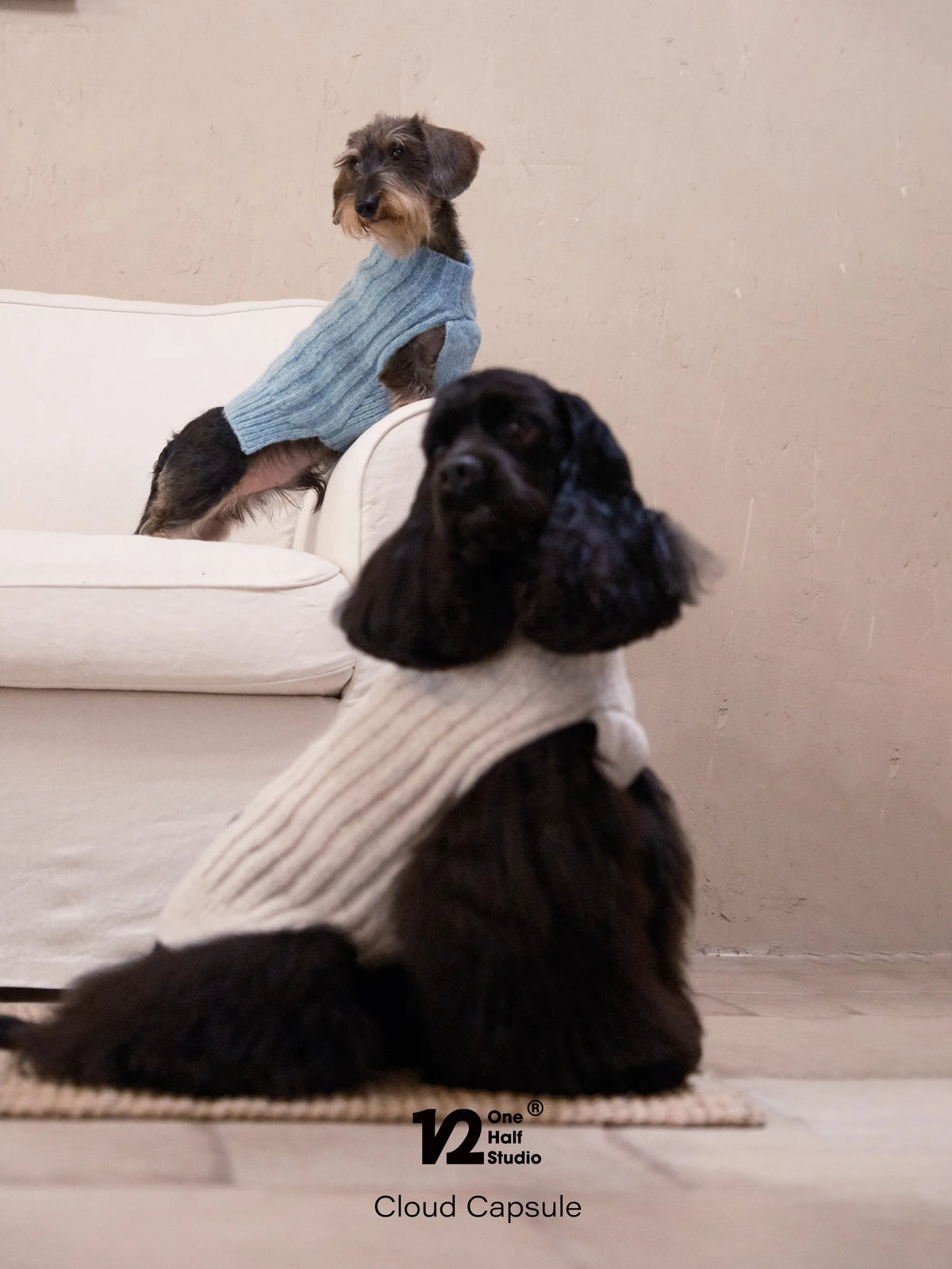 Dog in a camel sleeveless cable knit sweater on a chair