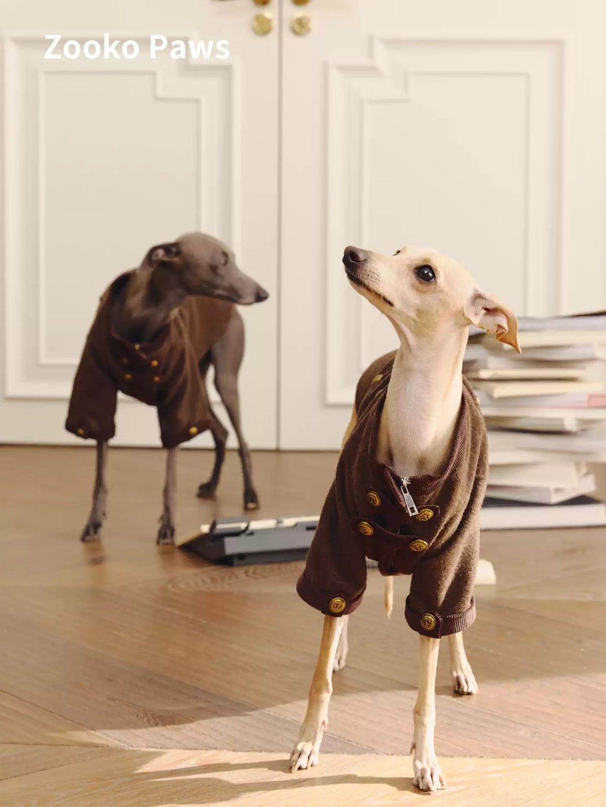 Vintage Wool Dog Jacket photo 1