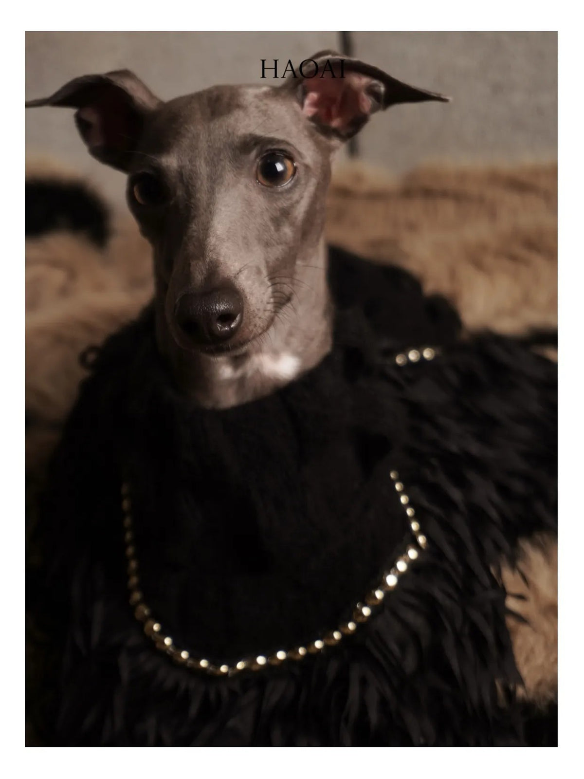 Black Mohair Look Open Knit Dog Onesie view 1