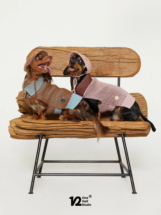 Two dogs in knitted newsboy caps sitting on a bench
