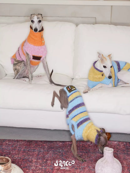 Three whippets on a white sofa and rug wearing striped knit vests in orange, pink, yellow, blue and purple