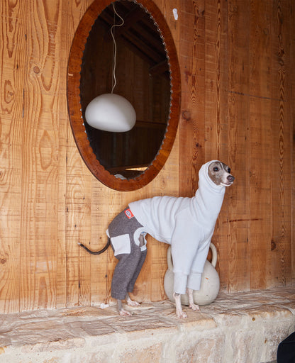 Slim hound standing on a stone ledge in a grey and cocoa colour-block fleece coat with a high fold-over collar and four cuffed legs