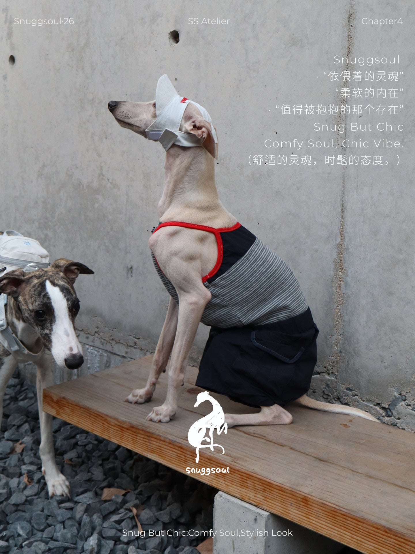 Dog Romper Outfit