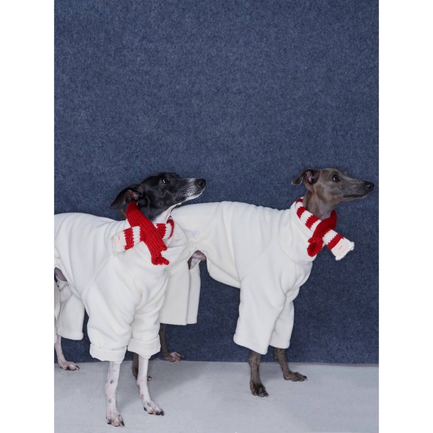 Striped Wool-Blend Dog Scarf for Small Breeds