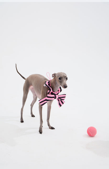 Bow Pet Bandana Collar