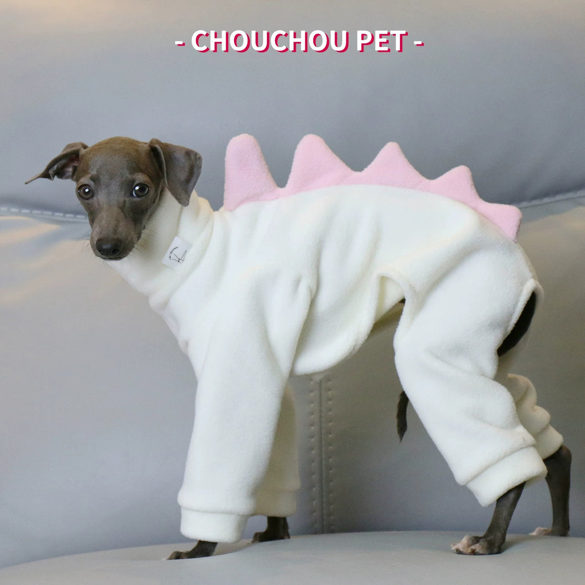 Dinosaur Fleece 4-Leg Dog Jumpsuit