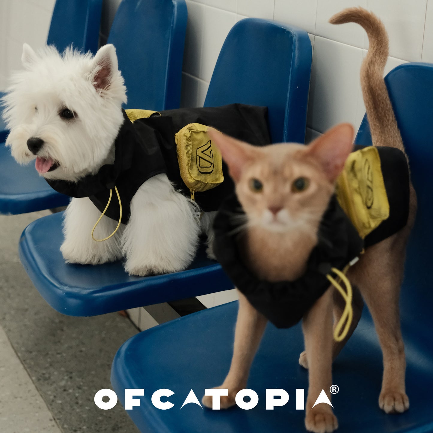 OfCATOPIA Yellow-Black Lightweight Sun Jacket