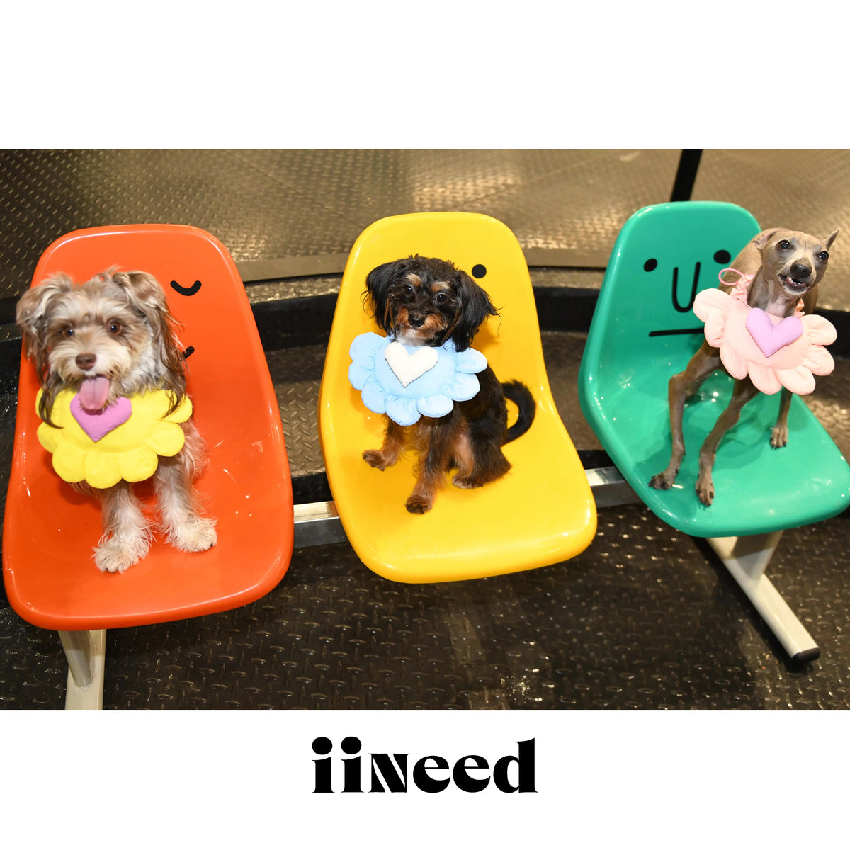 Padded Heart Pet Bib