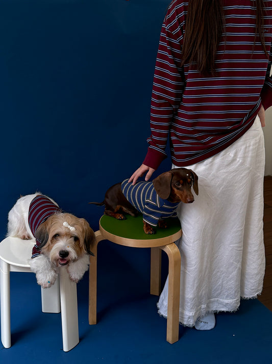 POXFFEE Vintage Stripe Matching Dog Outfit