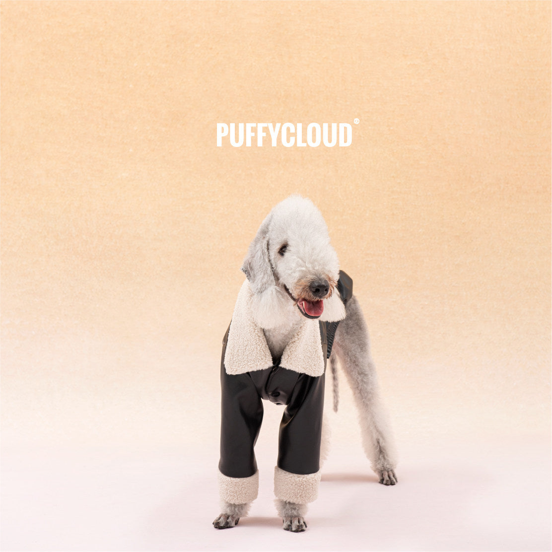 Dog Biker PU Coat