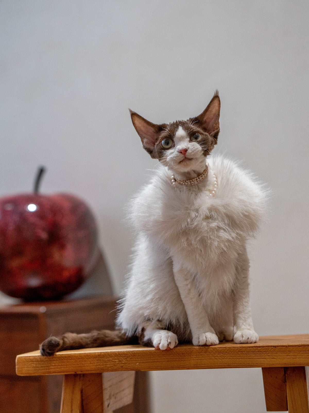 Faux Fur Cat Winter Vest Coat