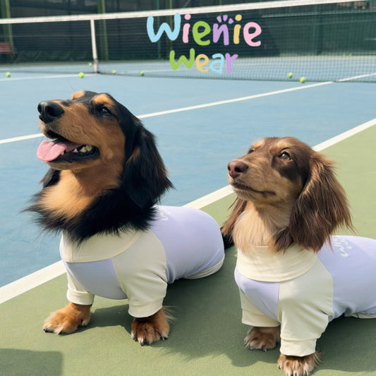 UPF50+ Cooling Dog Jumpsuit