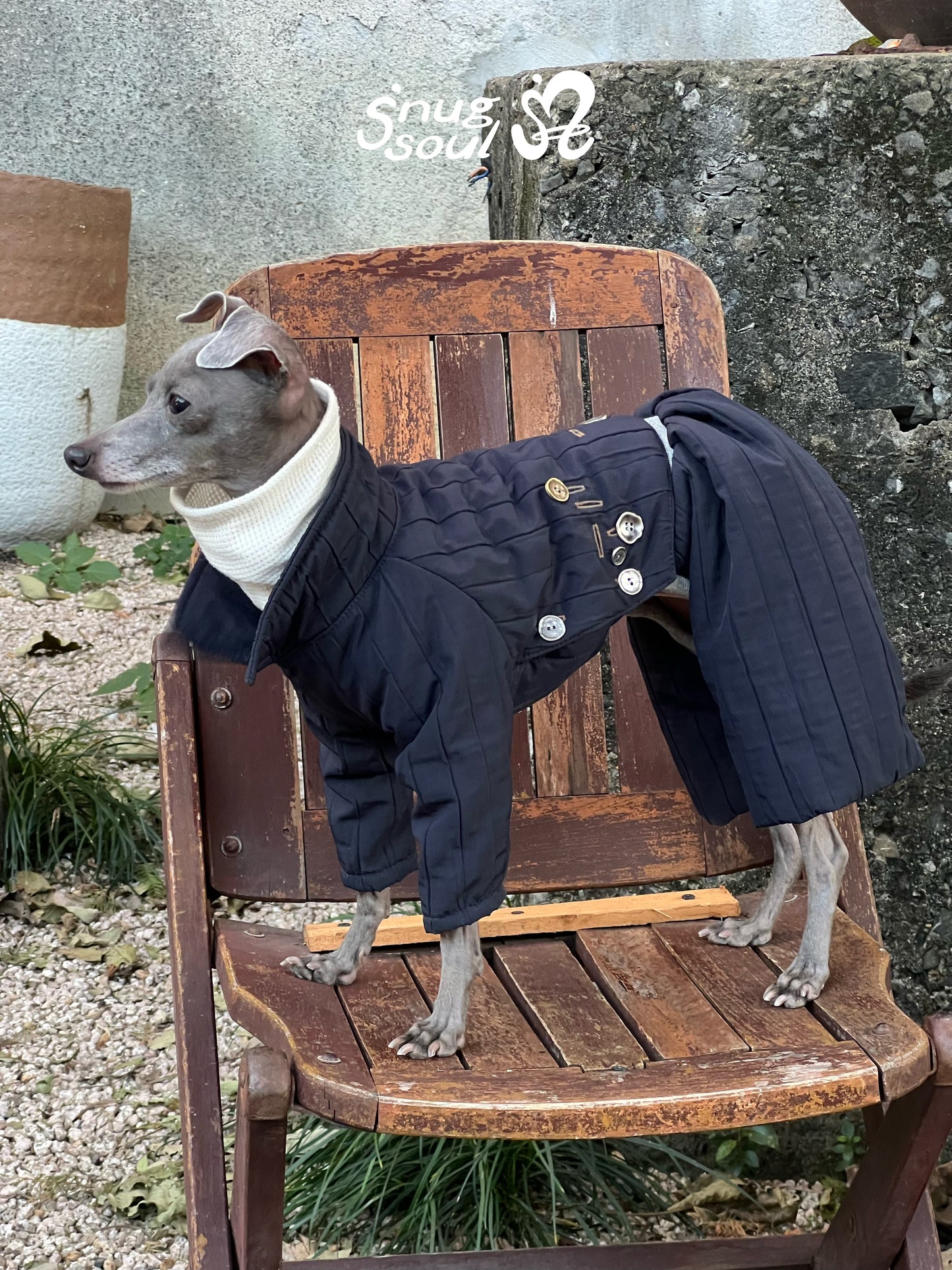 Detachable Quilted Dog Jacket and Pants Set