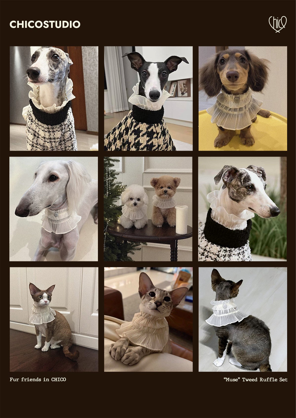 CHICO Pet Chiffon Ruffle Bib