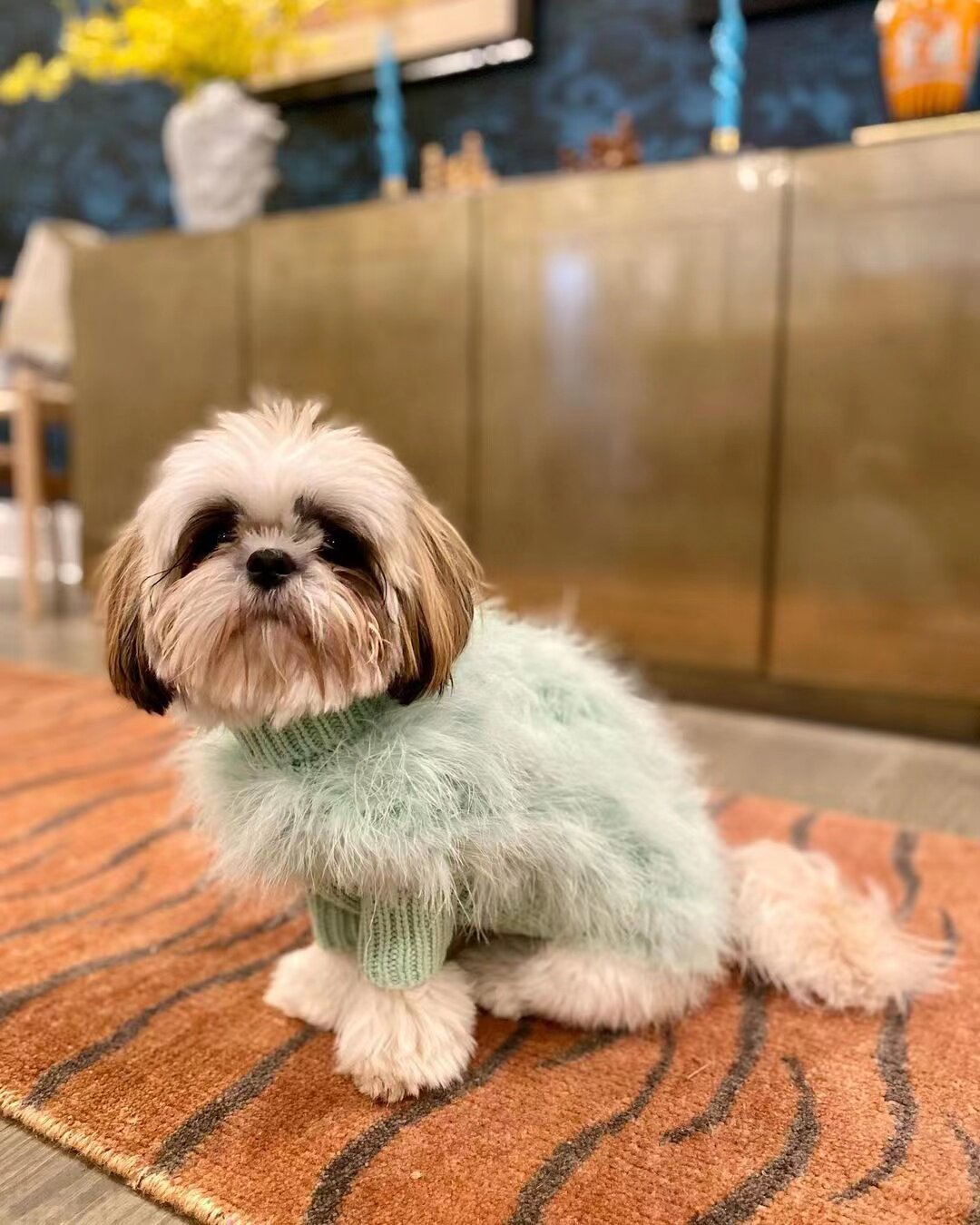 Luxury Feather Dog Sweater, Core Spun Yarn