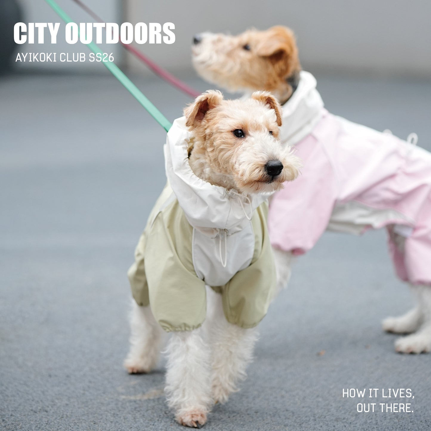 AYIKOKI Waterproof Windproof Dog Jacket
