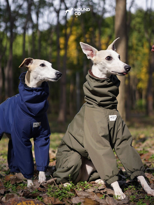 Fleece-Lined Four-Leg Dog Raincoat