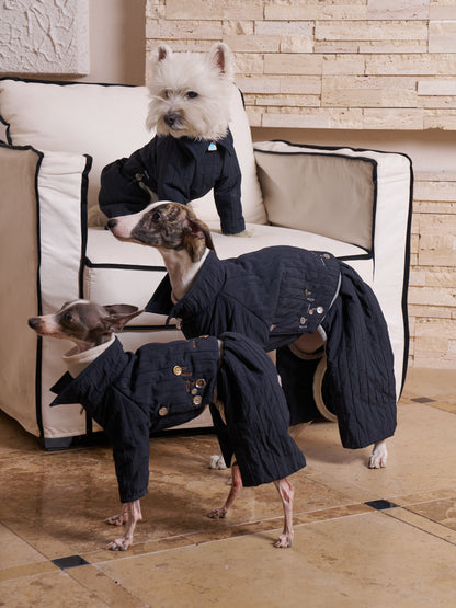 Detachable Quilted Dog Jacket and Pants Set