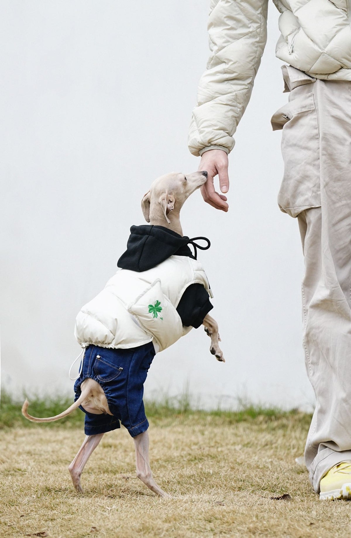 90% Duck Down Pet Vest