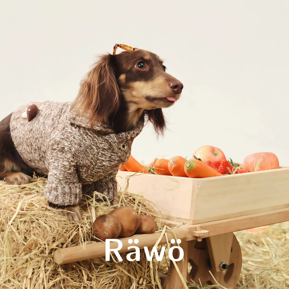 Ranch Story Handmade Mushroom Dog Sweaters Two-Leg Knit Top