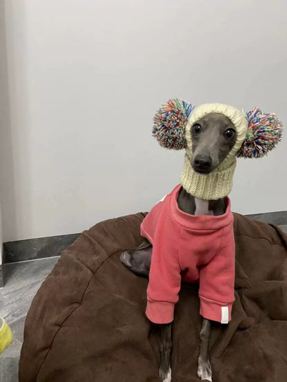 Hand-Knit Yarn Dog Hat for Italian Greyhound Whippet