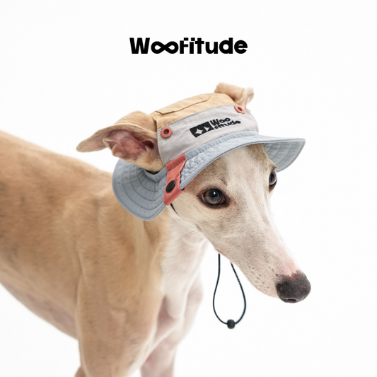 Nylon Dog Bucket Hat