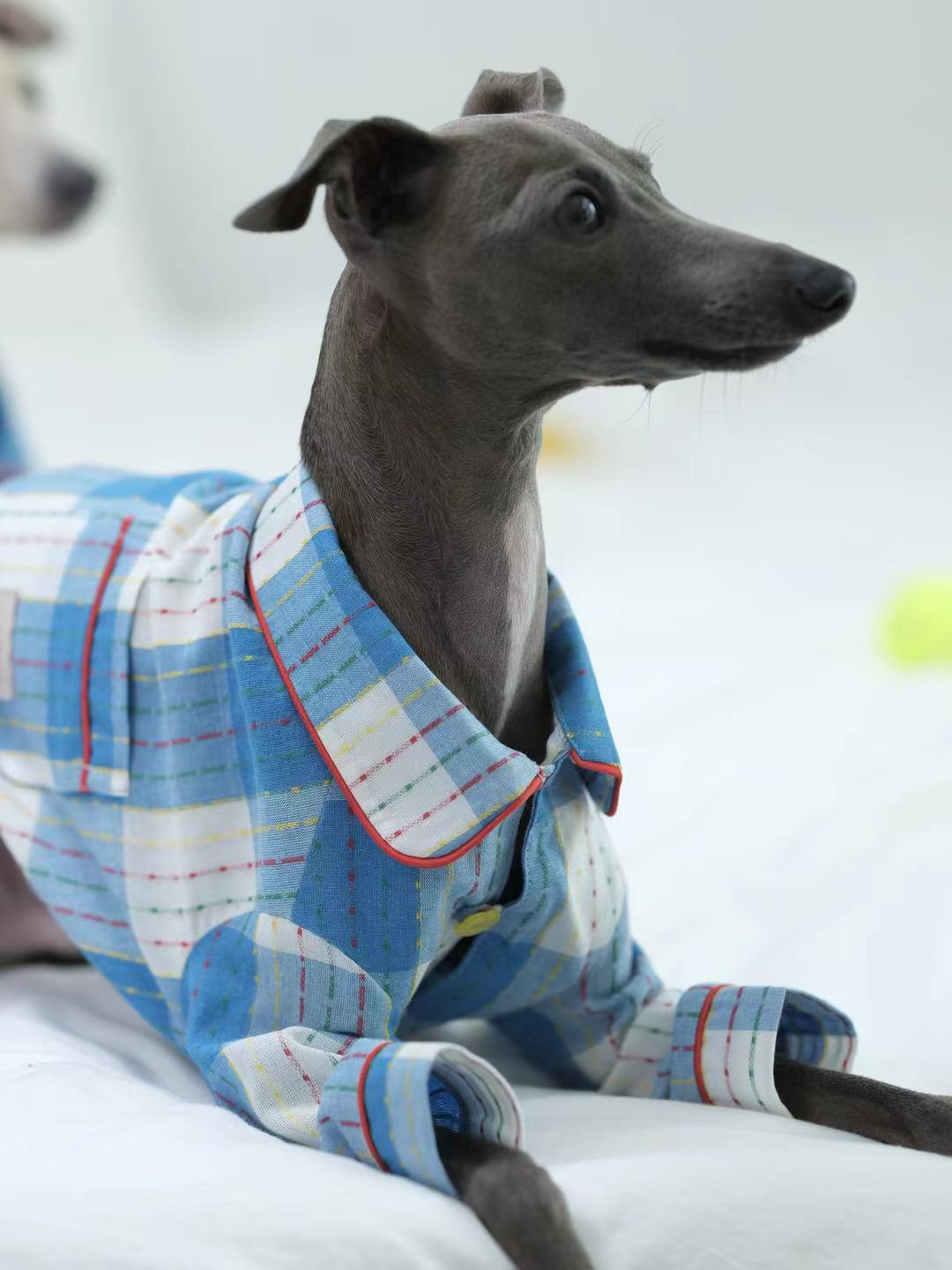 Plaid Cotton Dog Pajamas for Italian Greyhounds