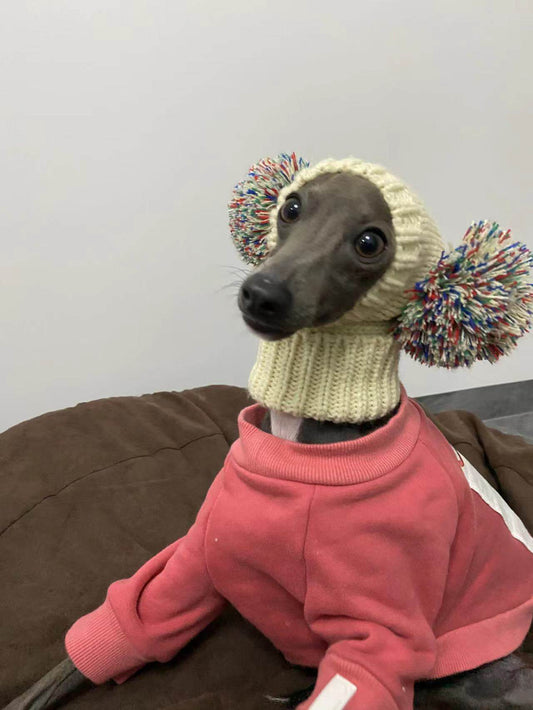 Hand-Knit Yarn Dog Hat for Italian Greyhound Whippet