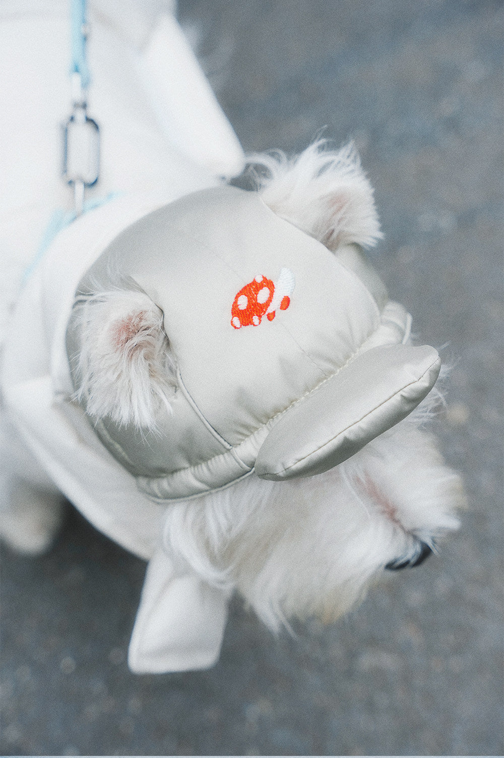 Embroidered Dog Winter Hat & Scarf Set