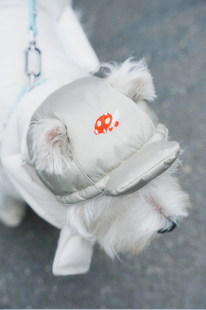 Embroidered Dog Winter Hat & Scarf Set