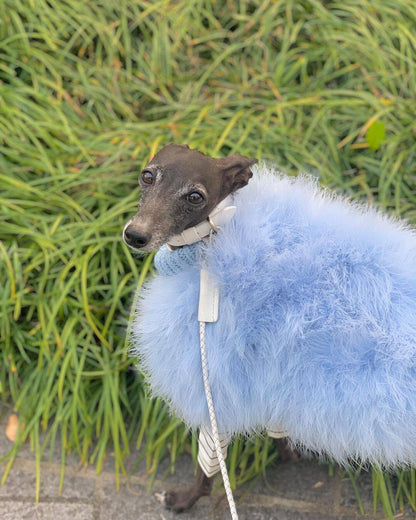 Luxury Feather Knit Sweater for Italian Greyhound & Whippet