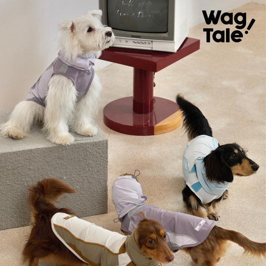 WagTale Cooling Dog Shirt