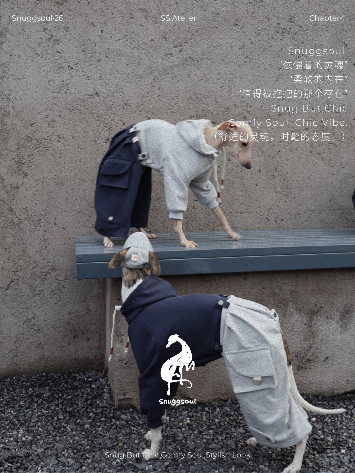 Detachable Dog Hoodie and Pants Set