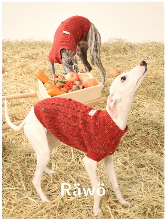 Handmade Wool Dog Sweaters Vest for Christmas New Year