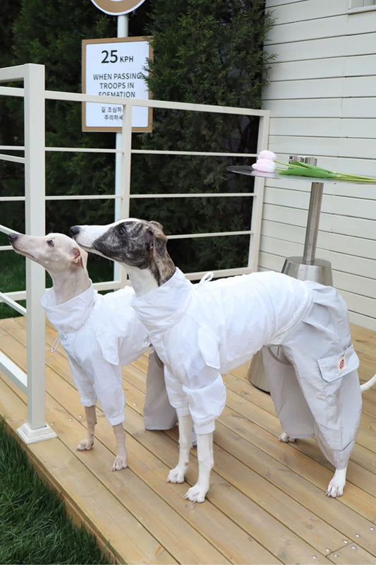 Summer Dog Cooling Shirt for Whippet