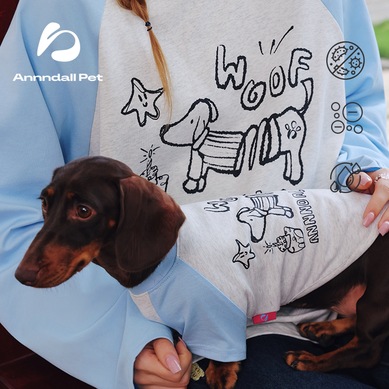 andall Spring Raglan T-Shirt for Dogs & Owners
