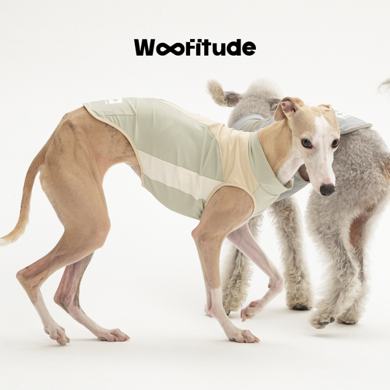 Woofitude UV-Protective Cooling Vest UPF50+