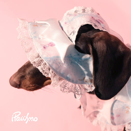Lace Dog Bandana & Bucket Hat