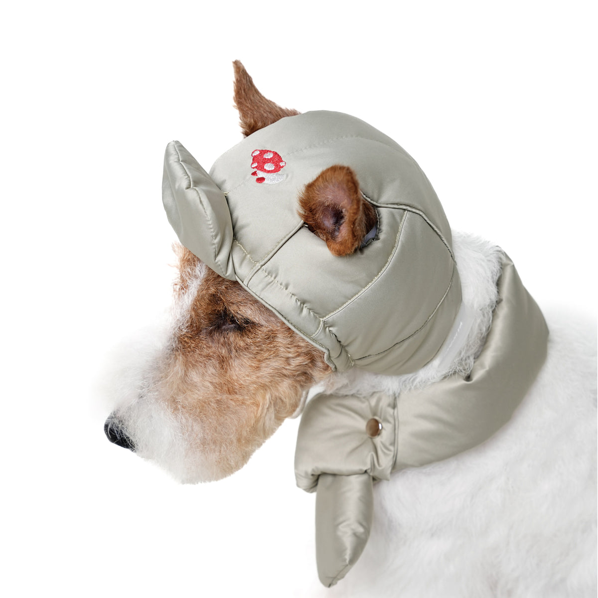 Embroidered Dog Winter Hat & Scarf Set