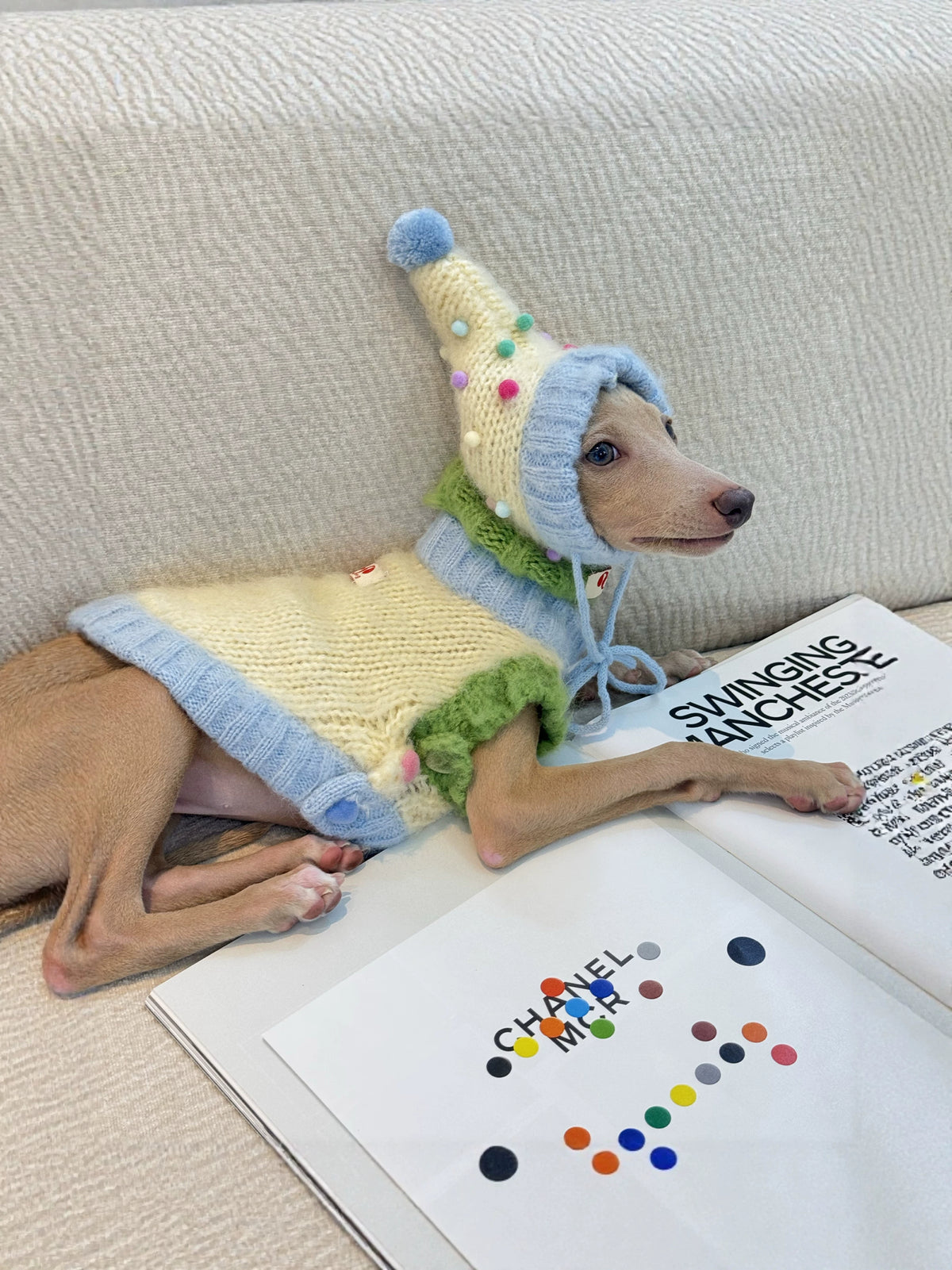 Wool Dog Vest & Pom Pom Hat