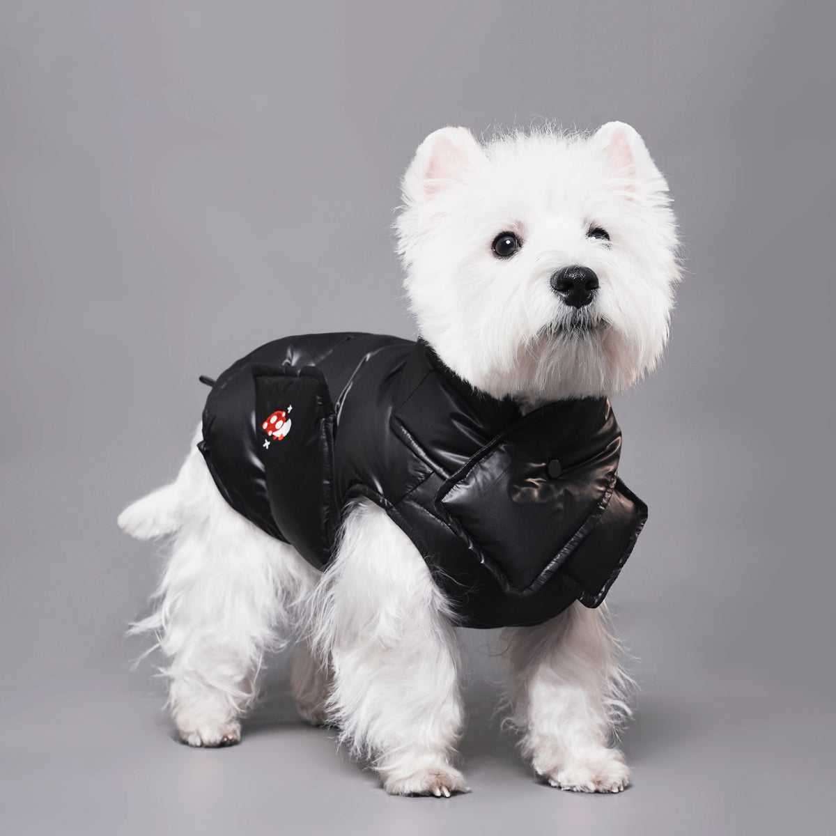 90% Duck Down Pet Vest