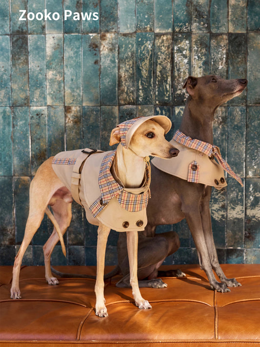 Classic Twill Cape Vest Set for Small & Medium Dogs, with Bib, for Italian Greyhound & Whippet