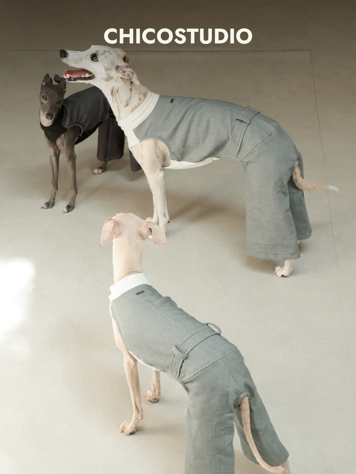 Wide-Leg Sighthound Dog Jumpsuit