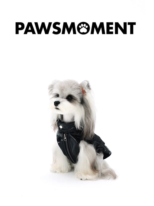 Small Dog Biker Style Leather Jacket