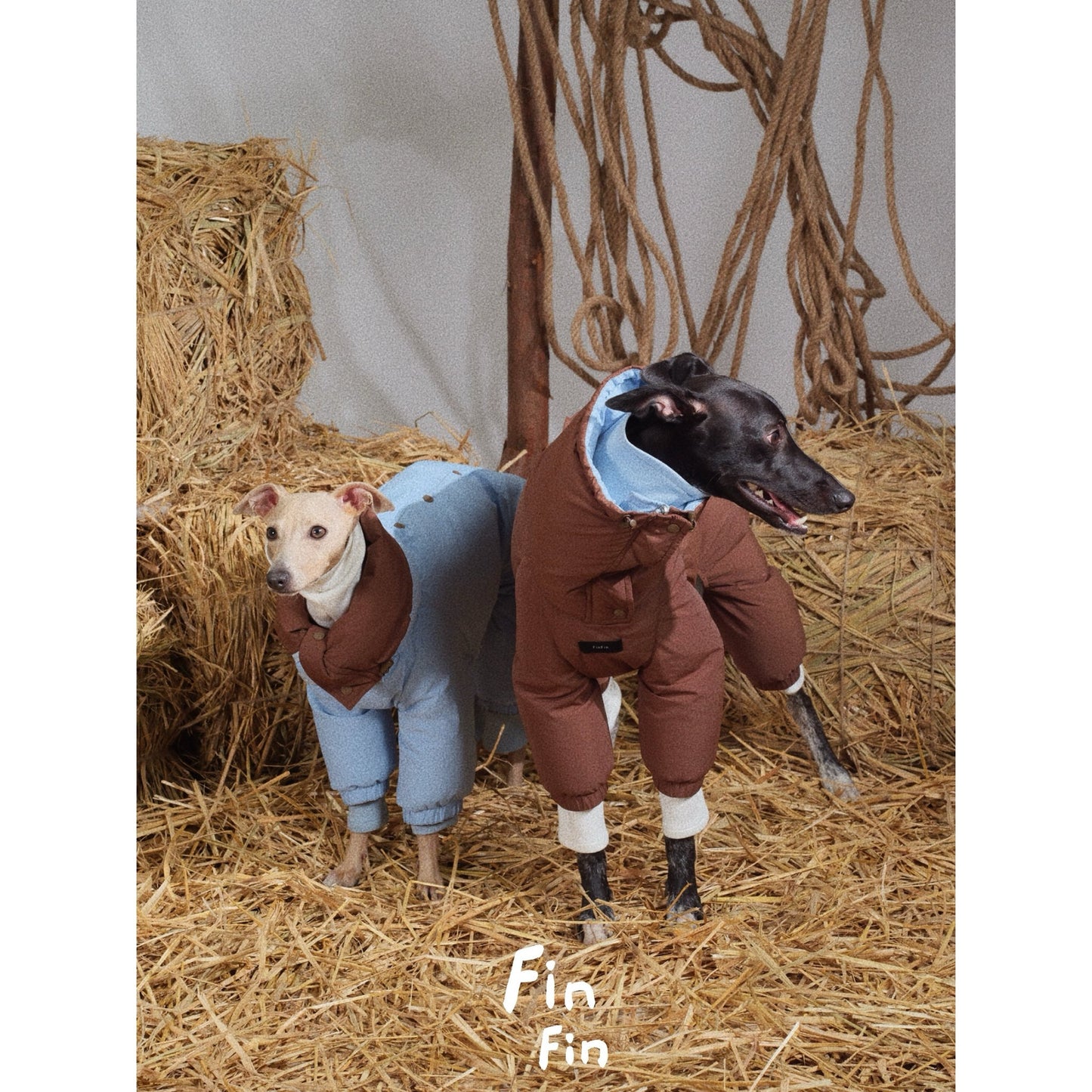 FinFin Reversible Pet Down Jacket